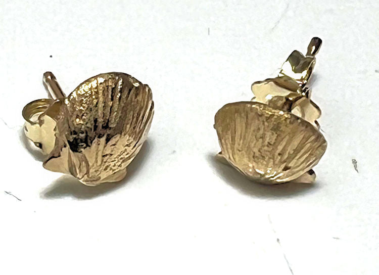 Clam Shell 14k Studs
