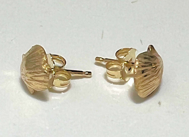 Clam Shell 14k Studs