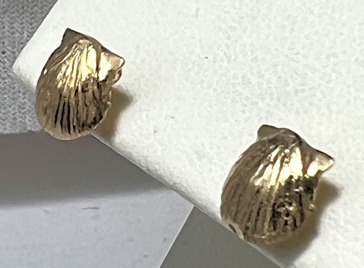 Clam Shell 14k Studs