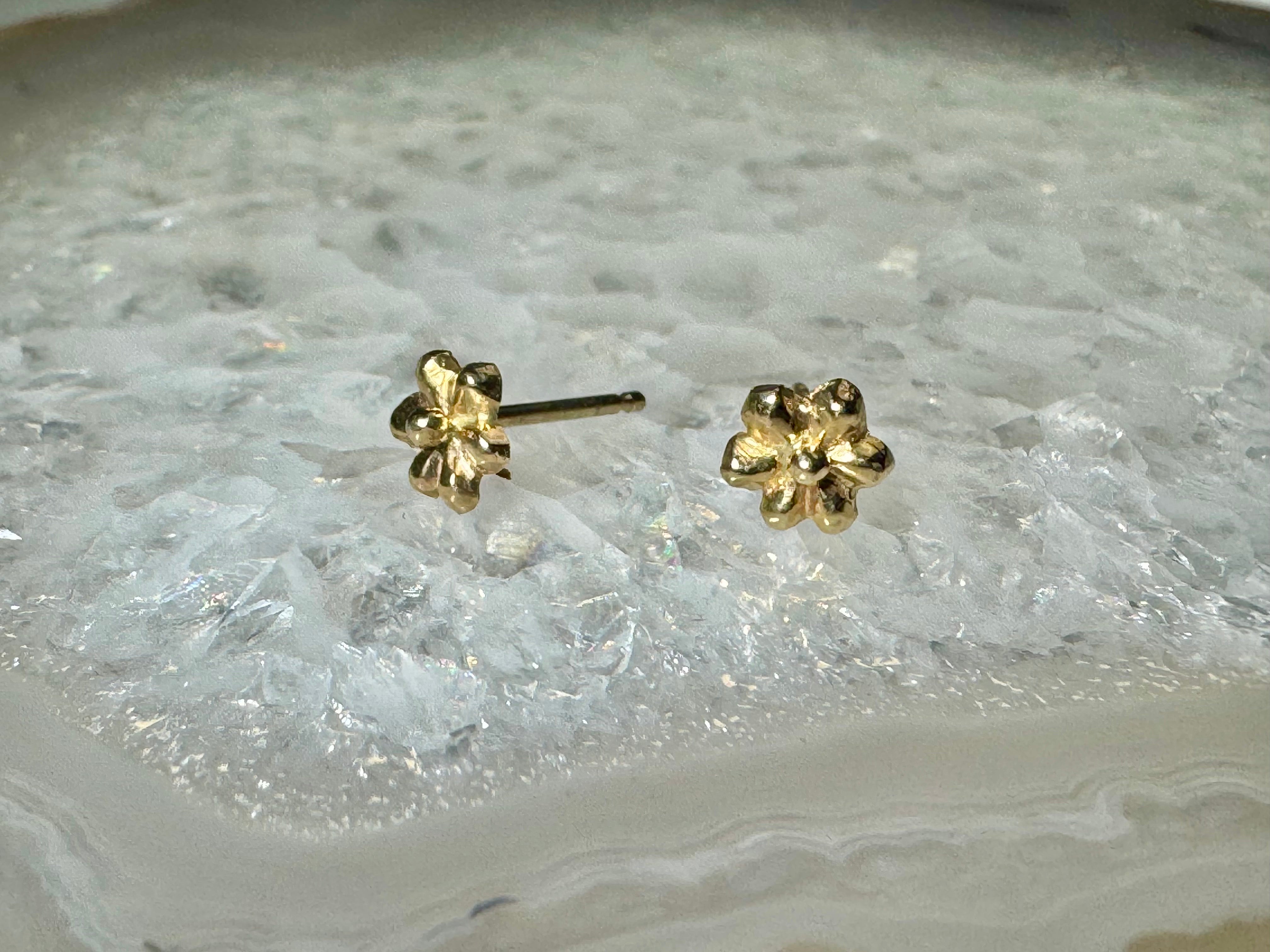 Flower 6 Petal 14k Studs