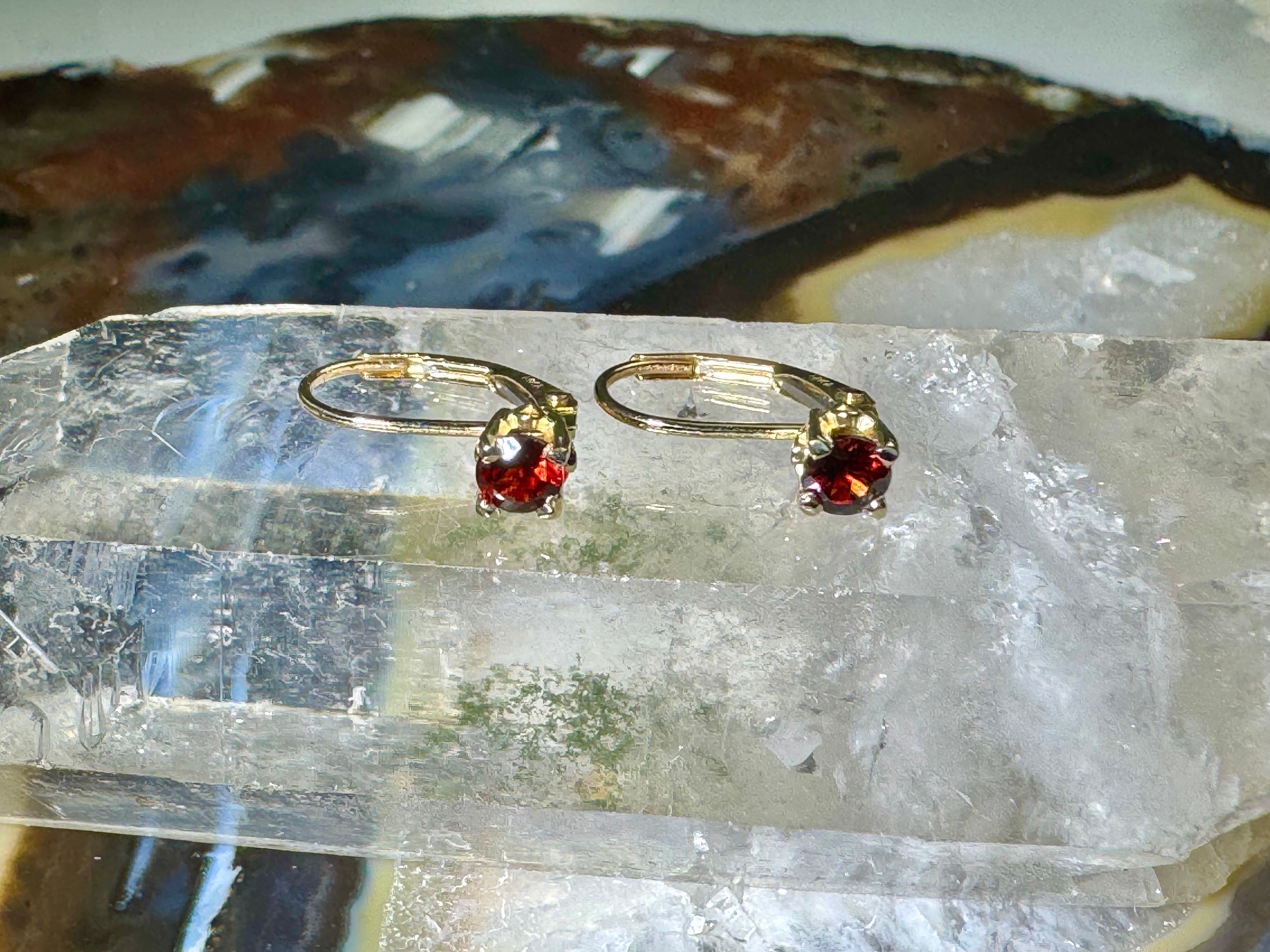 Garnet 14k Lever-back Earrings