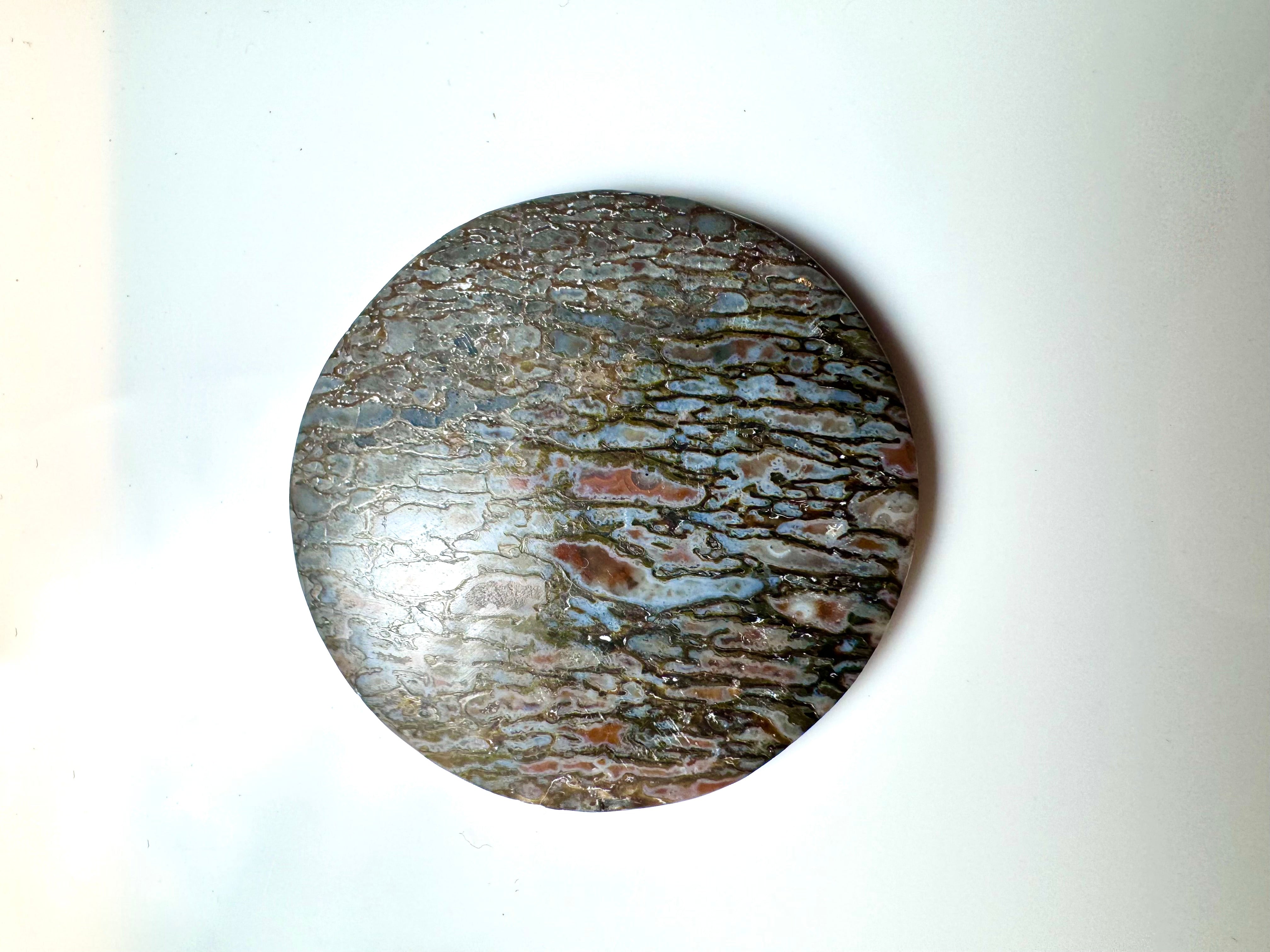 Dinosaur Bone Large Round Stone