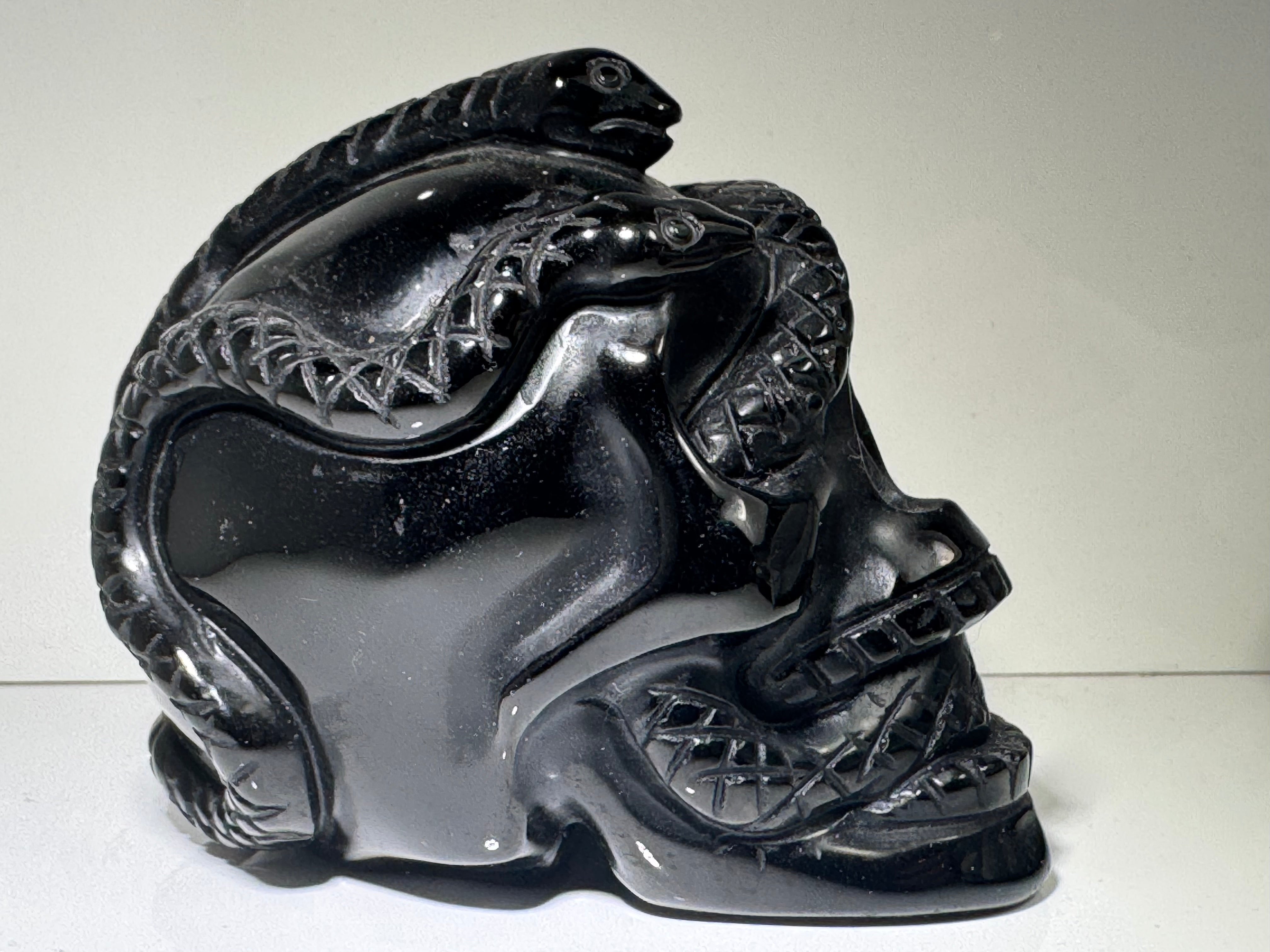 Obsidian Skull & Snake Carving