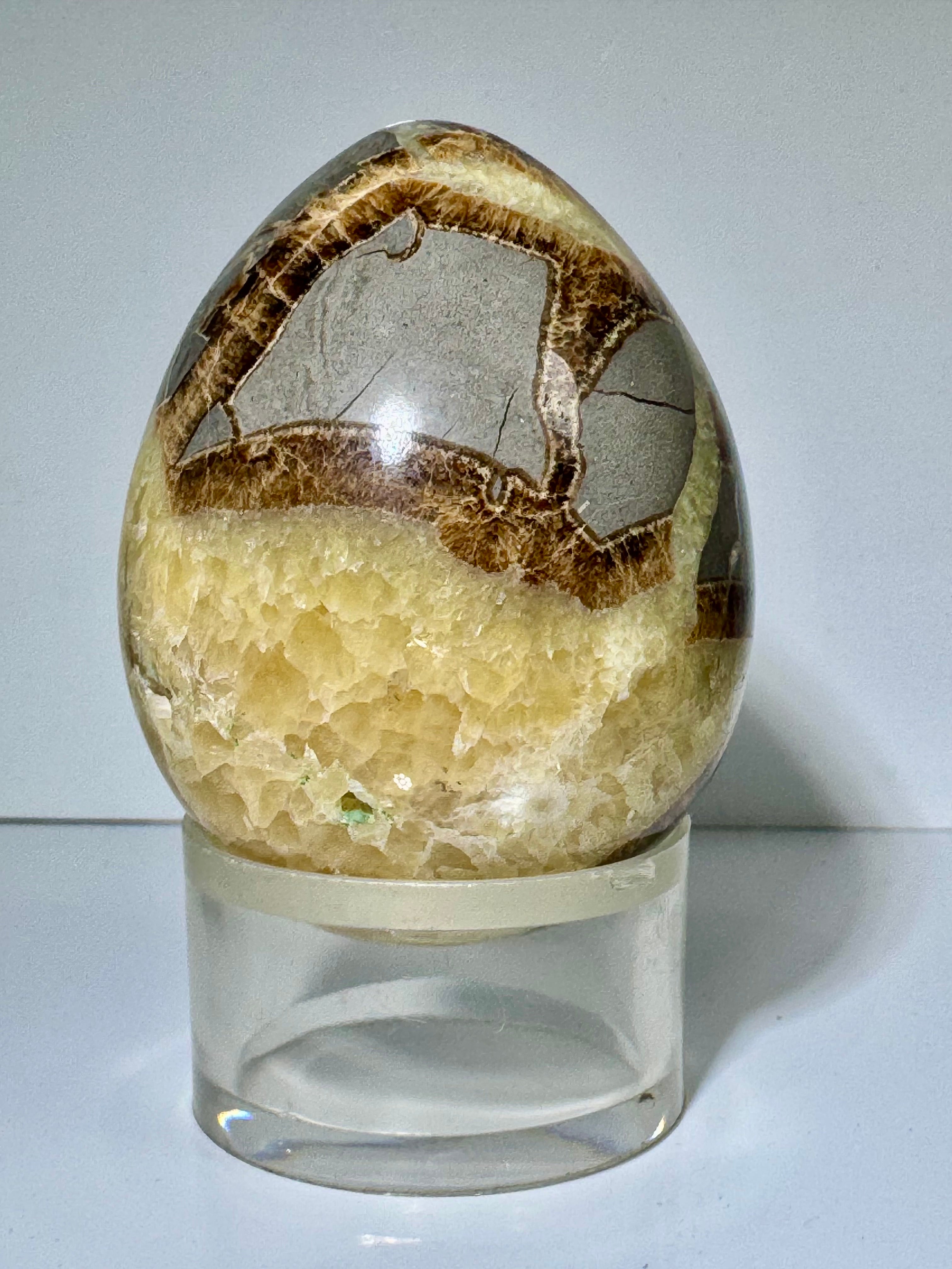 Septarian Egg