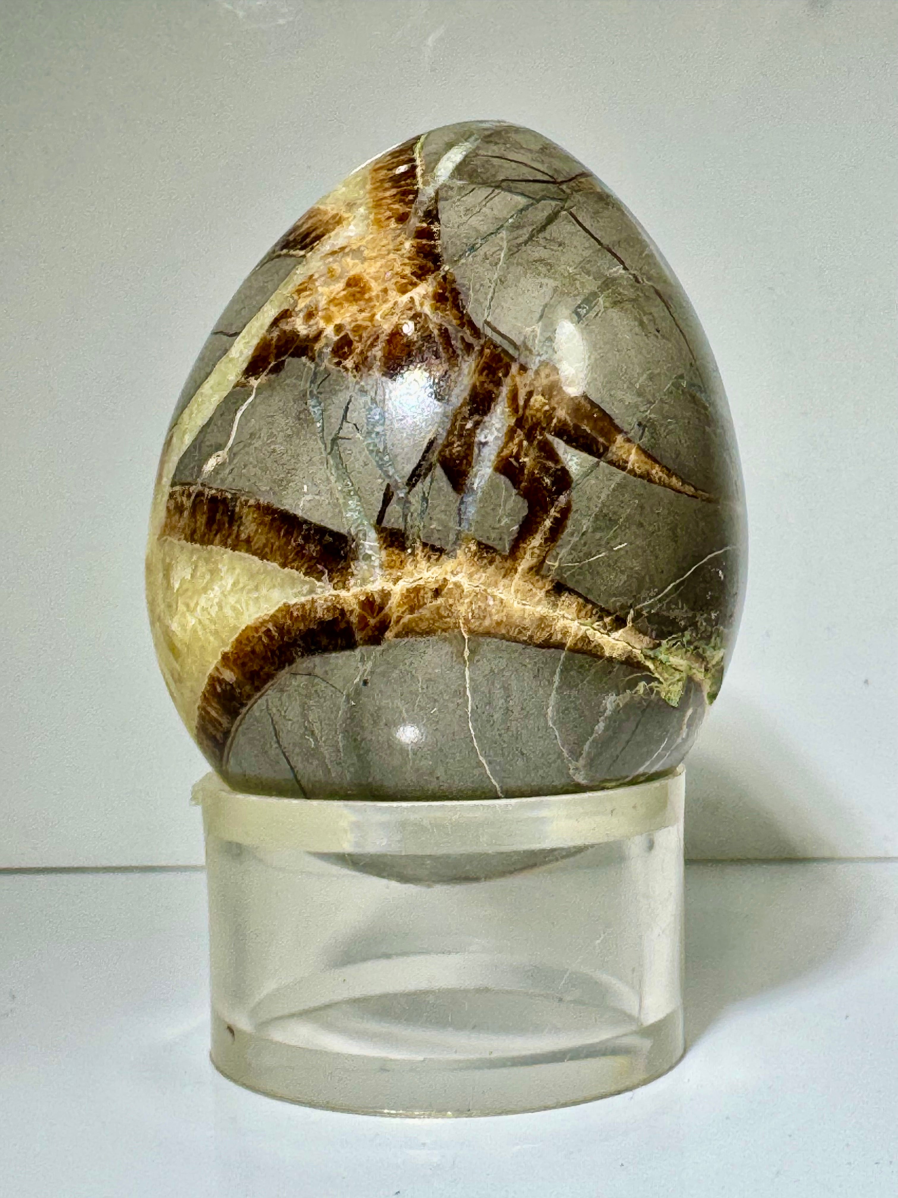 Septarian Egg