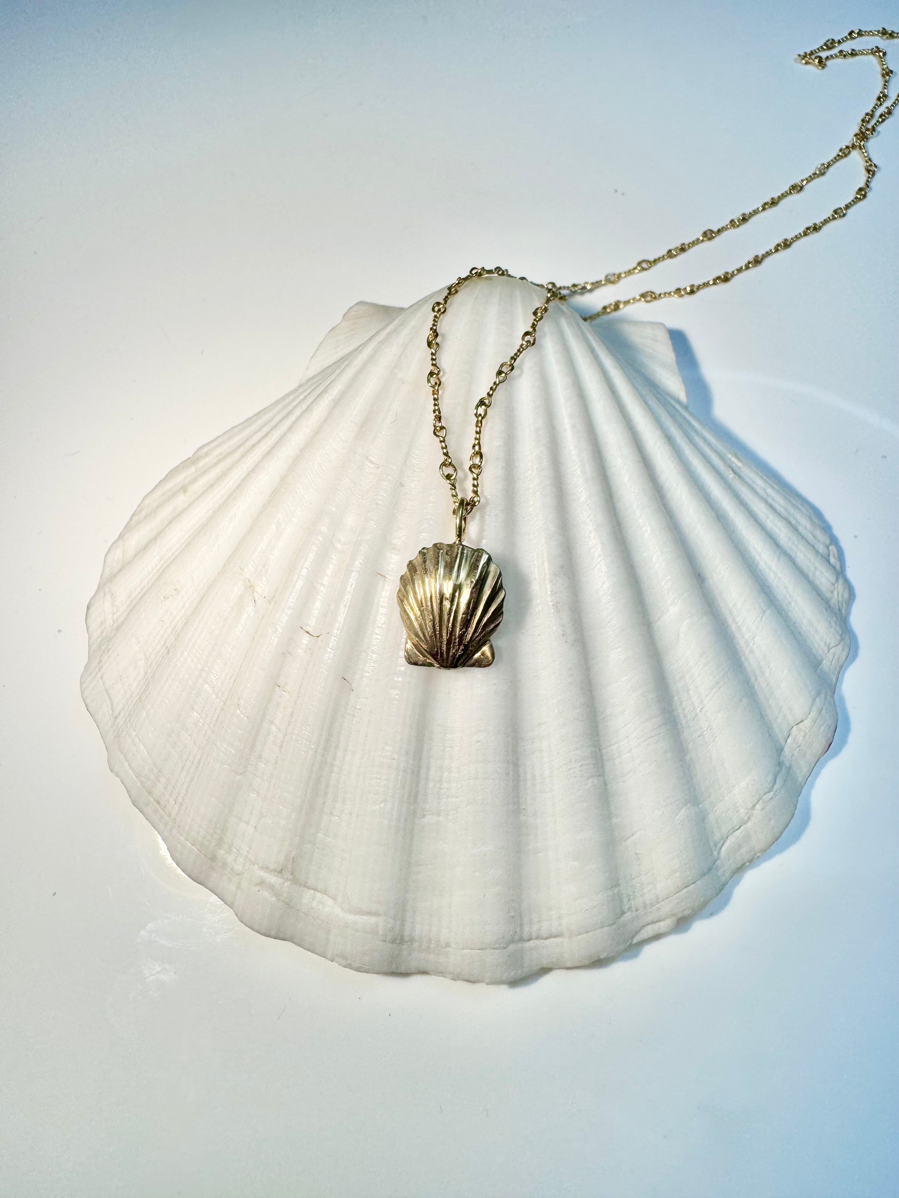 Shell 14k Pendant