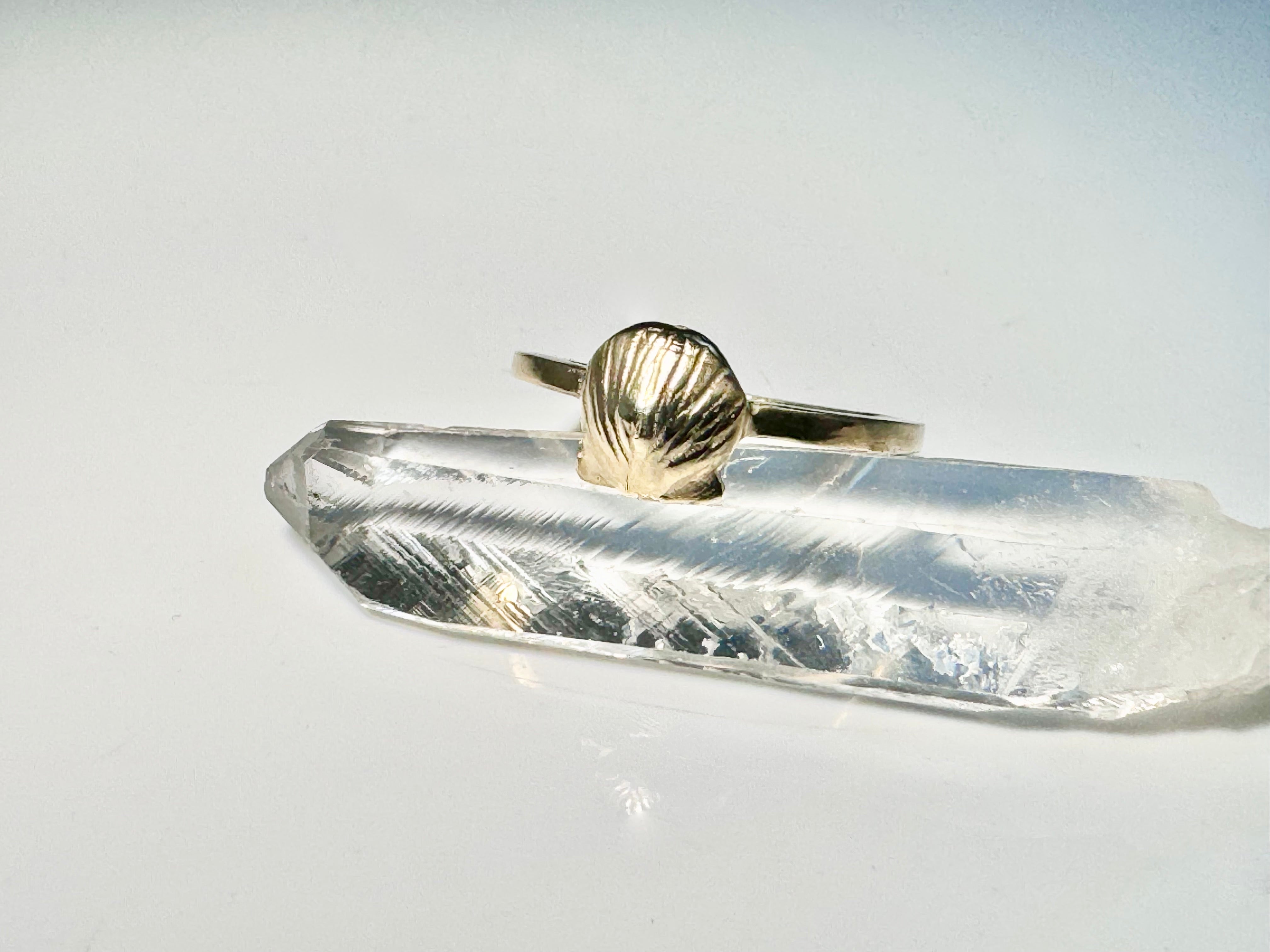 SeaShell 14k Ring