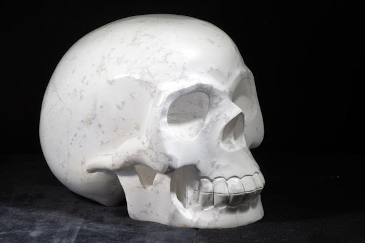 Howlite Skull