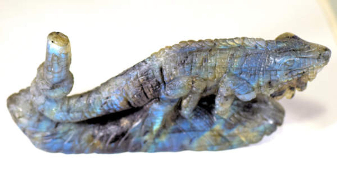 Labradorite Chameleon