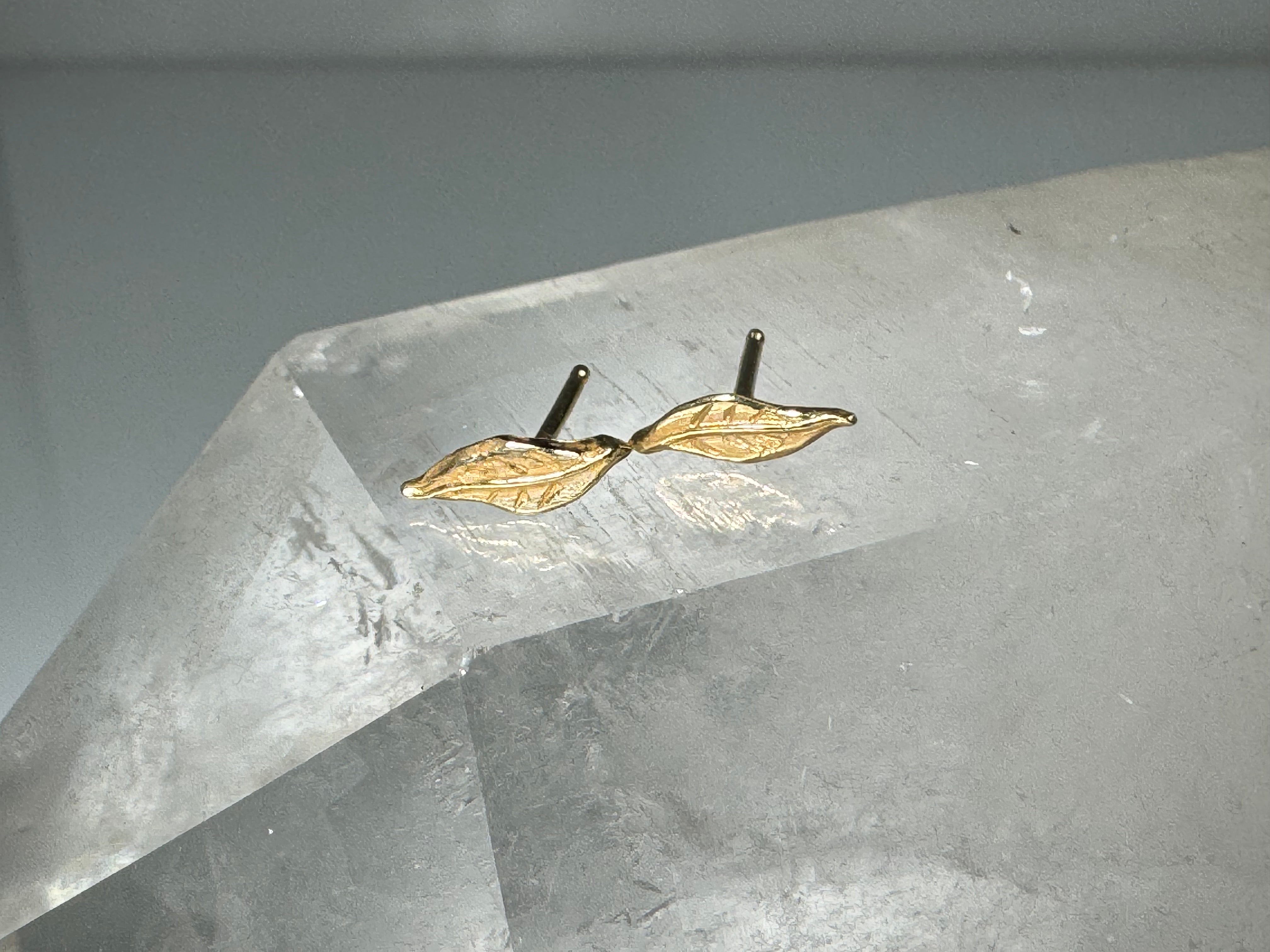 Leaf 14k Studs