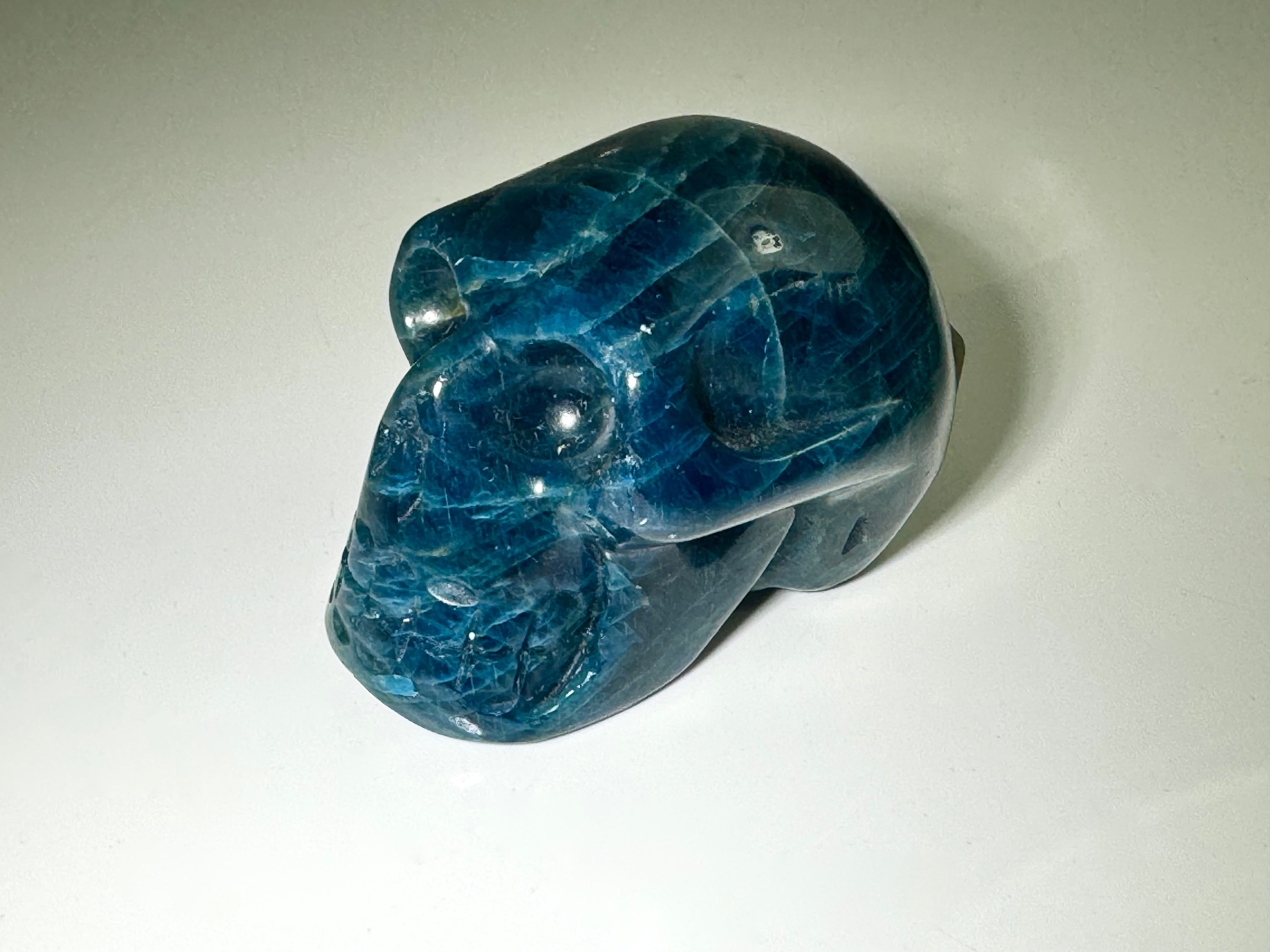 Apatite Skull