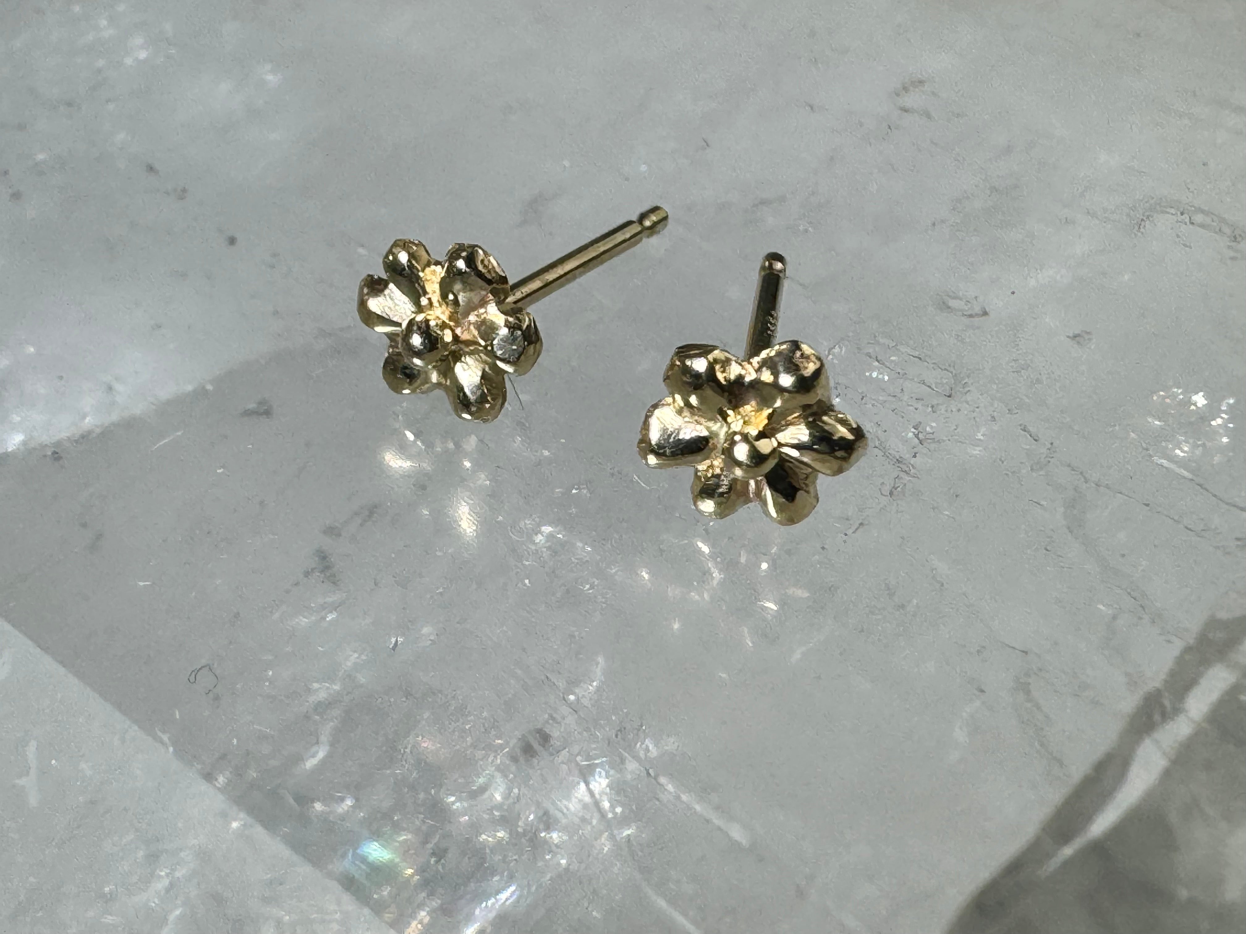 Flower 6 Petal 14k Studs