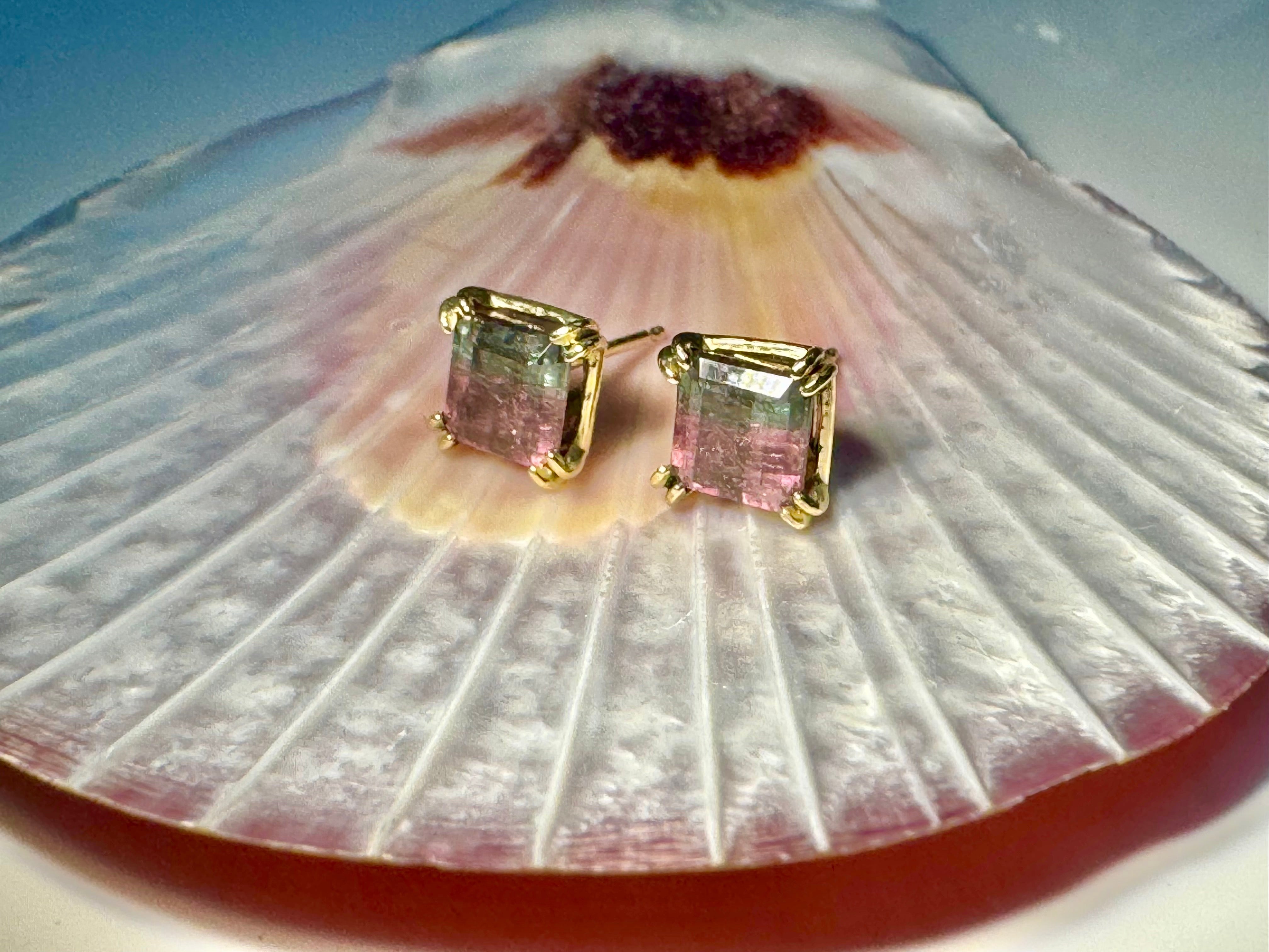 Bi-color Tourmaline Faceted 14k Studs