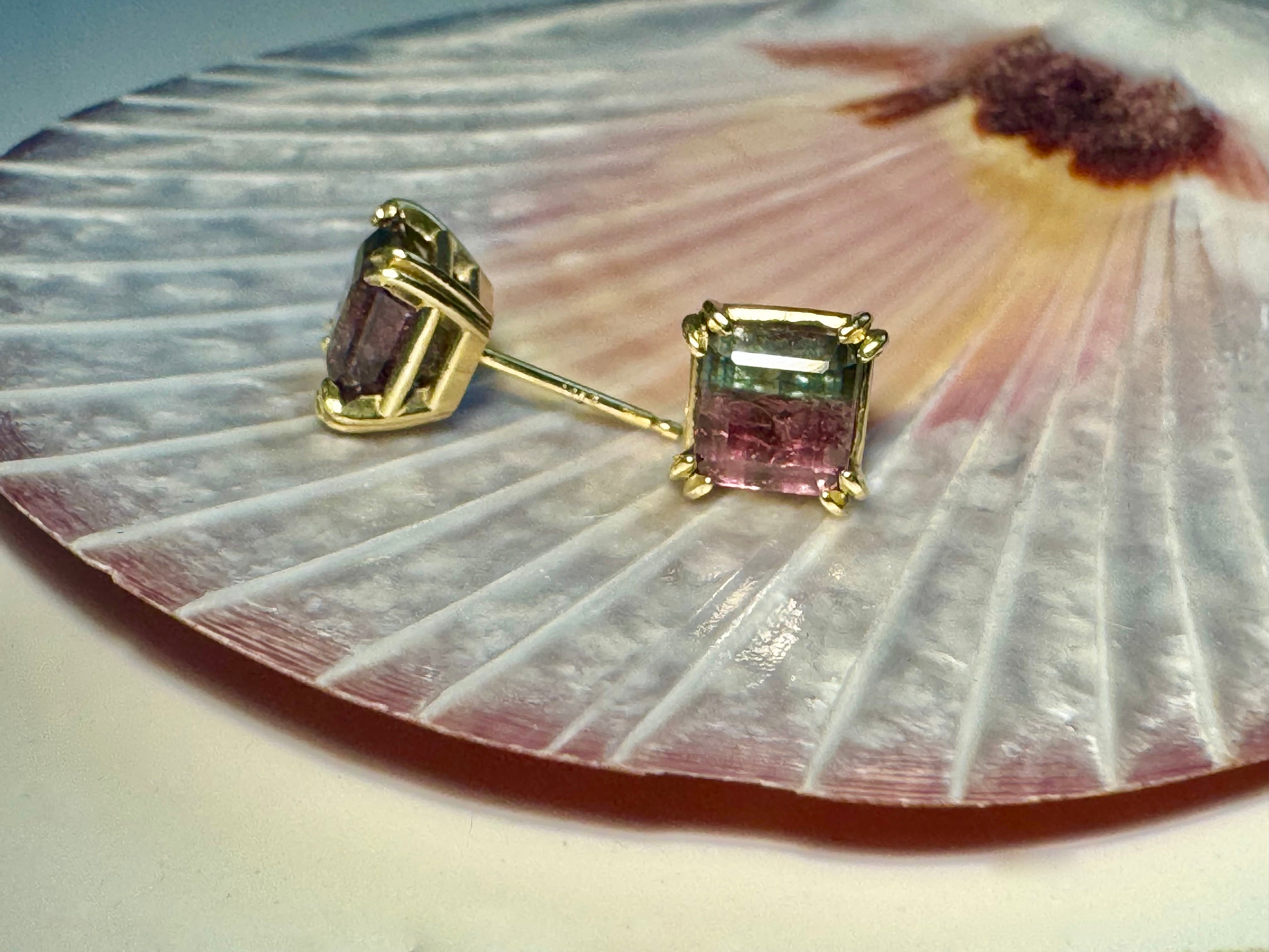 Bi-color Tourmaline Faceted 14k Studs