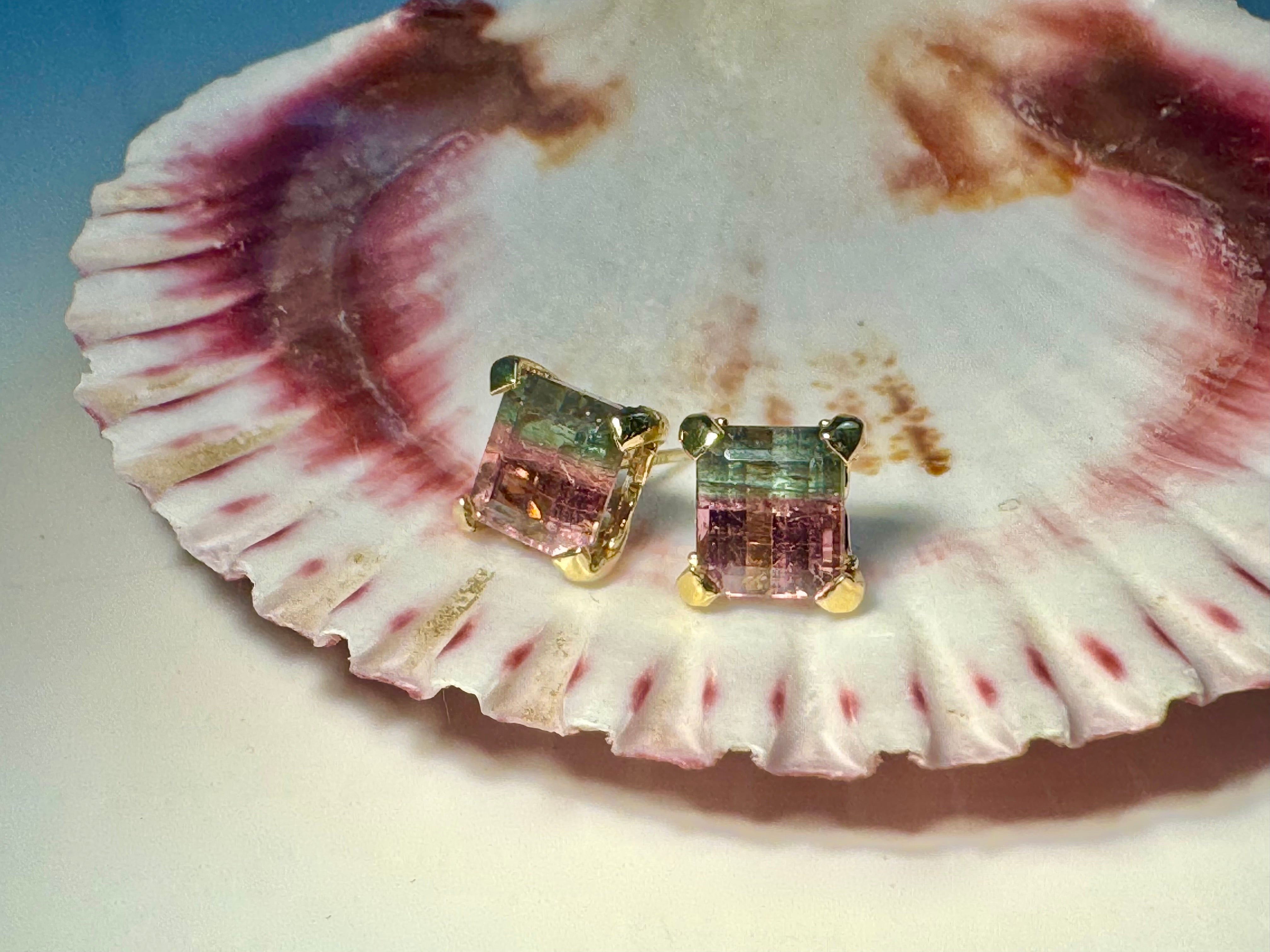 Bi-color Tourmaline Faceted 14k Studs
