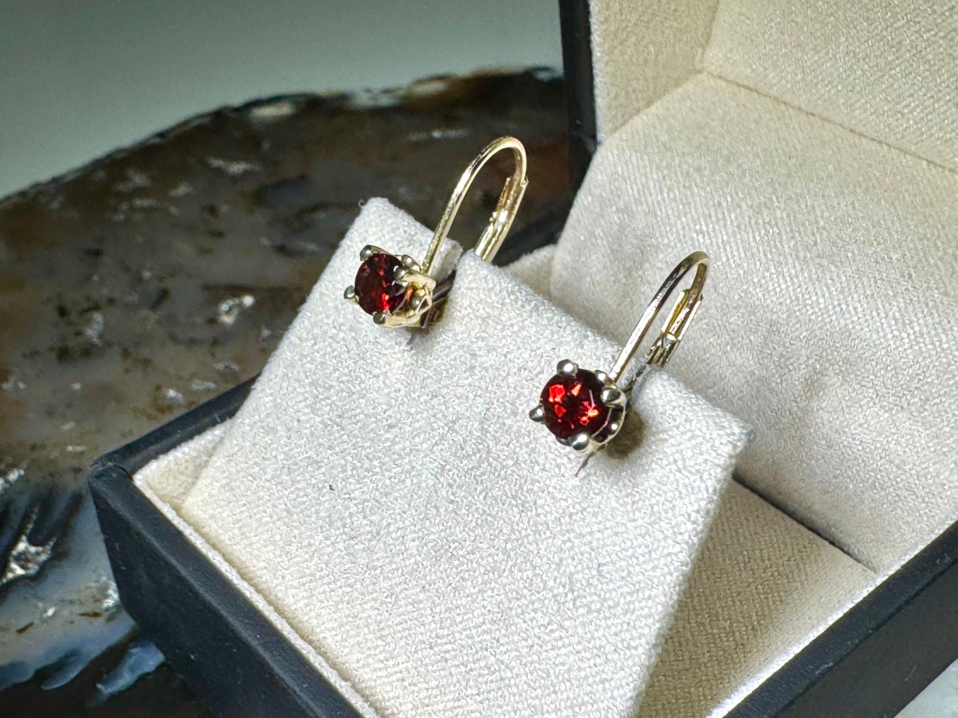 Garnet 14k Lever-back Earrings