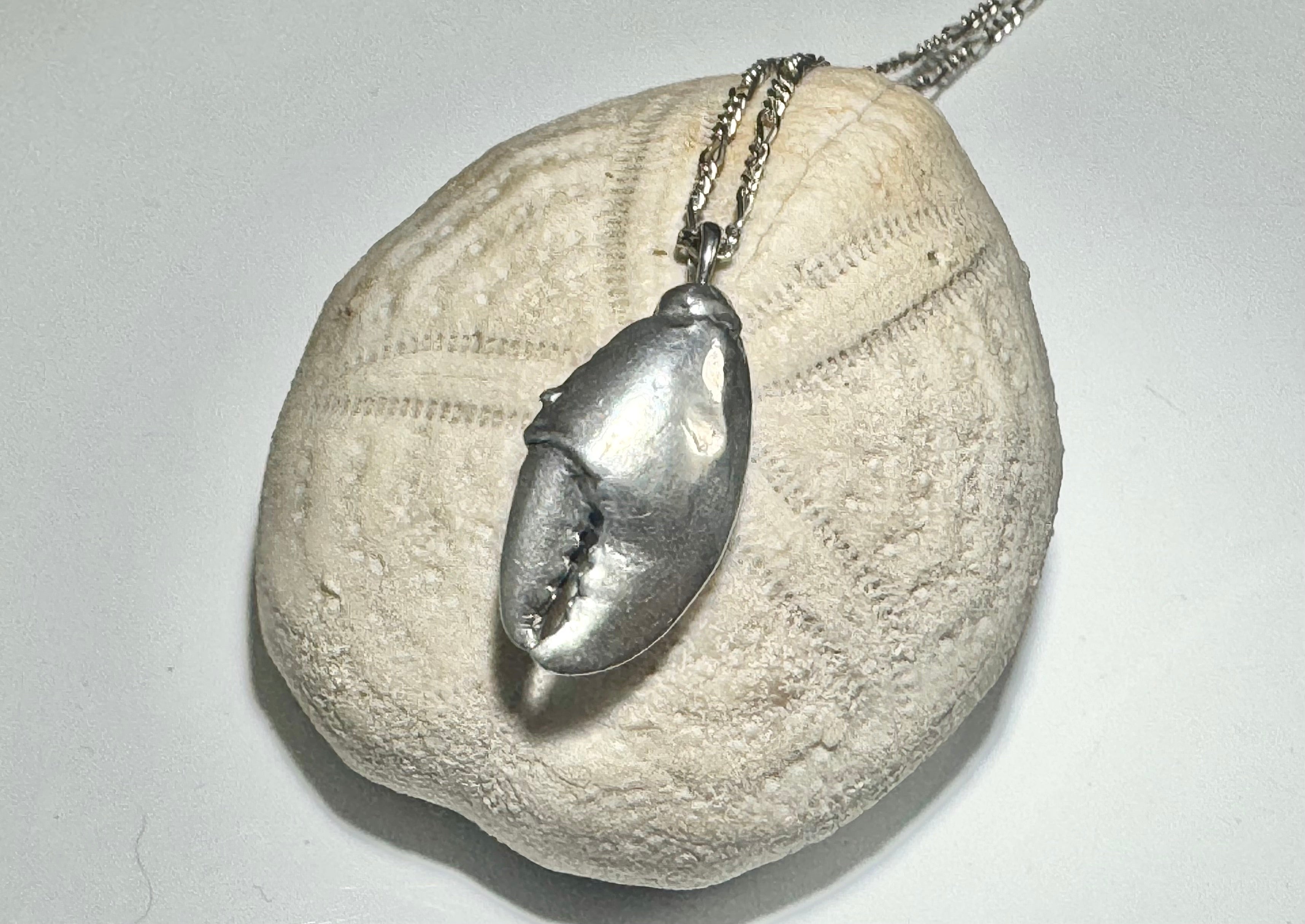 The Lobster Claw Medium Sterling Pendant