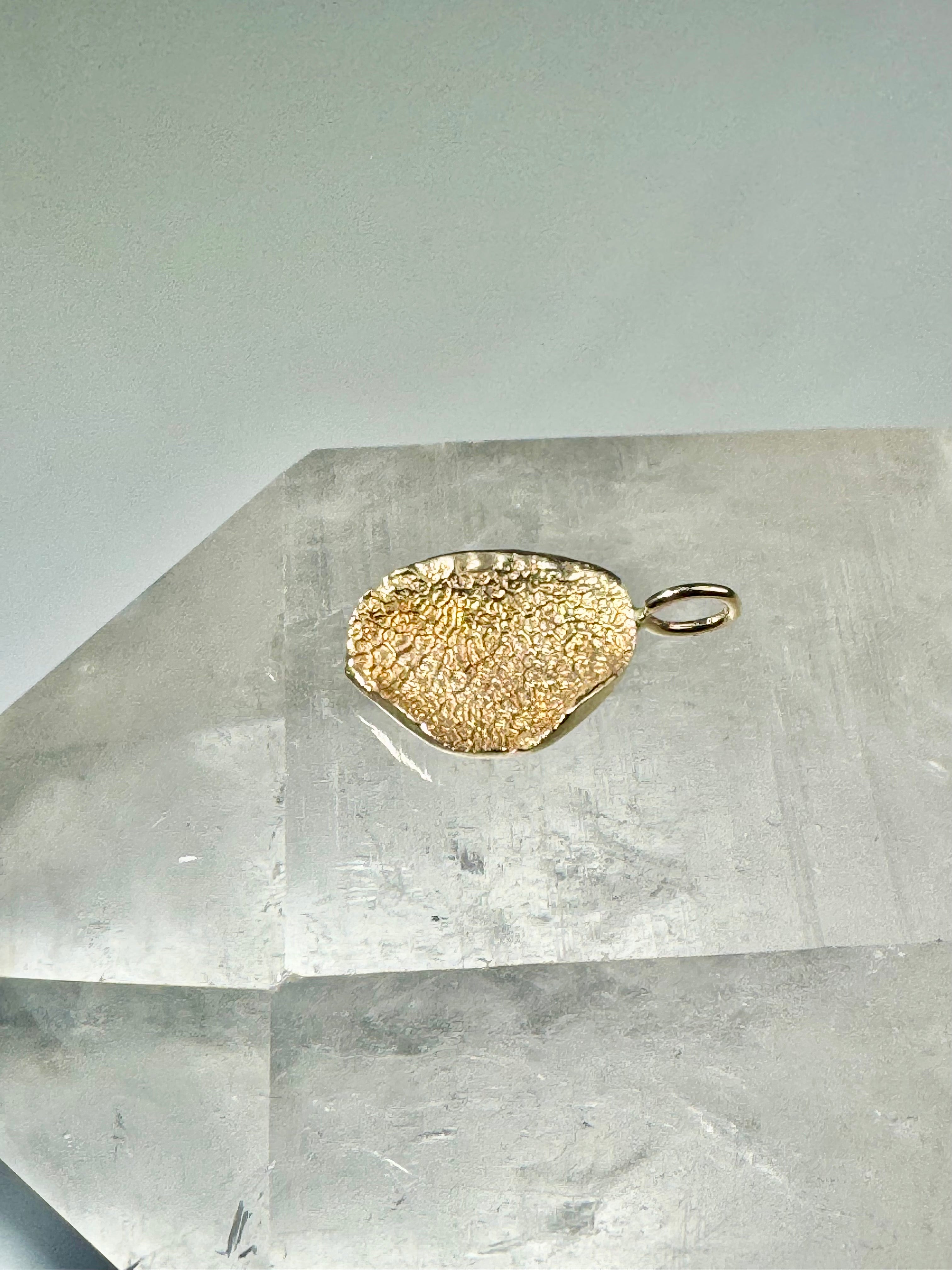 Dog Nose Print Pendant: Personalized Pet Memorials