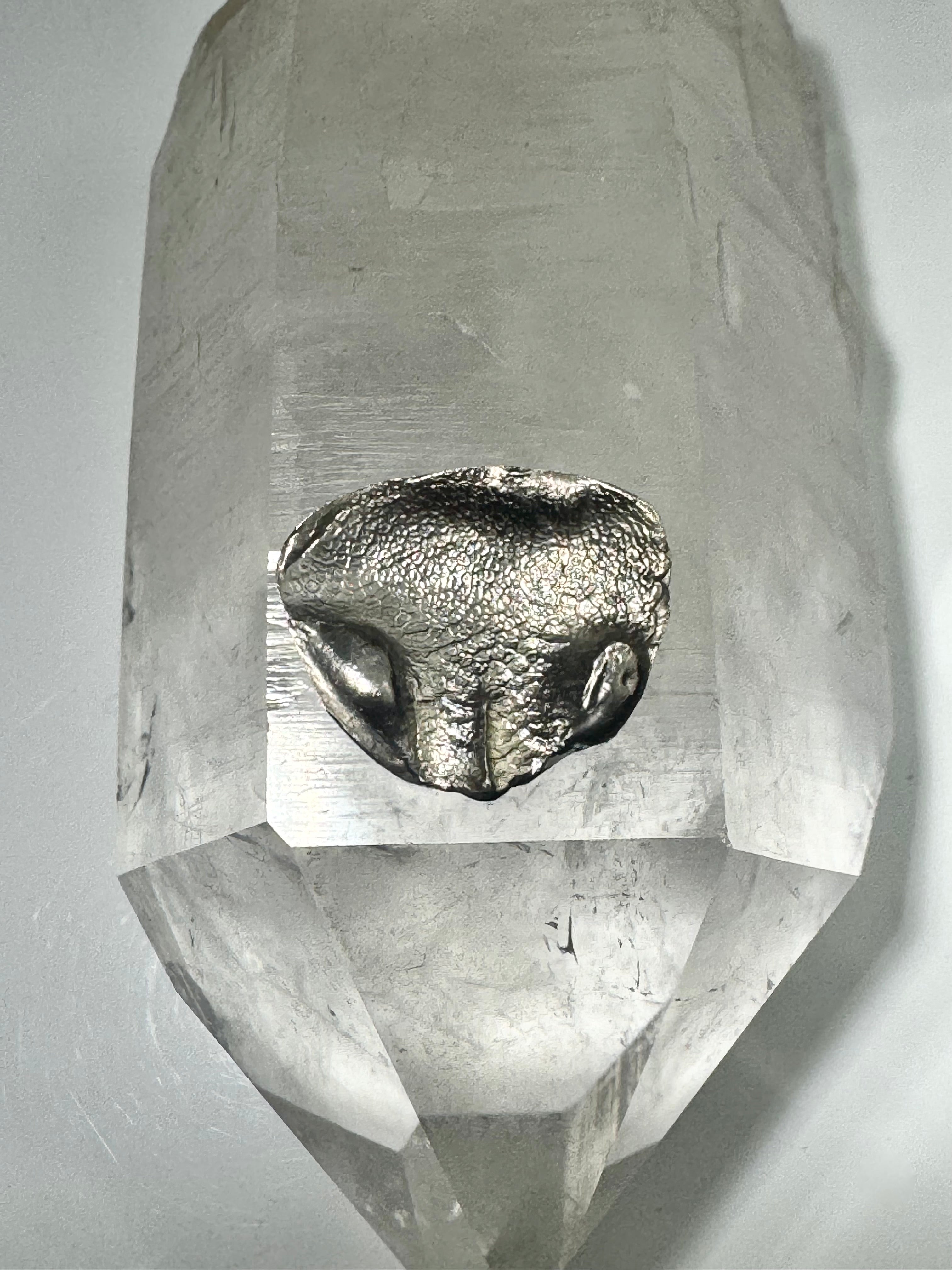 Dog Nose Print Pendant: Personalized Pet Memorials