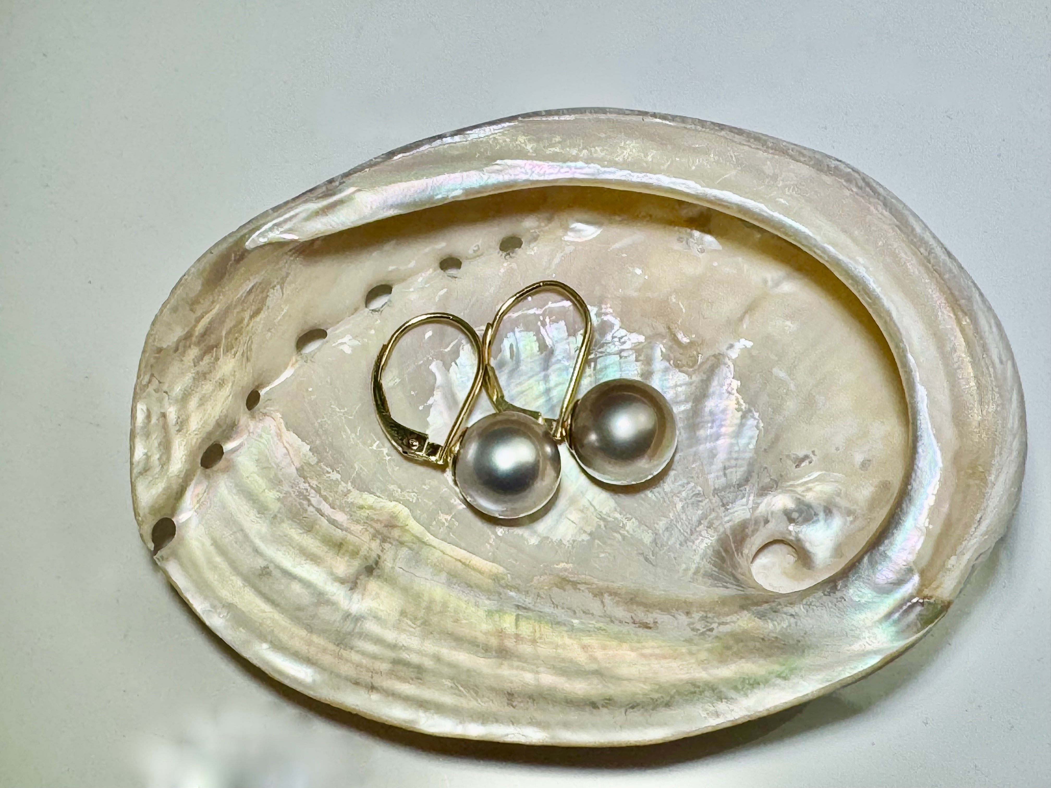 Grey South Sea Pearl Lever back Earrings