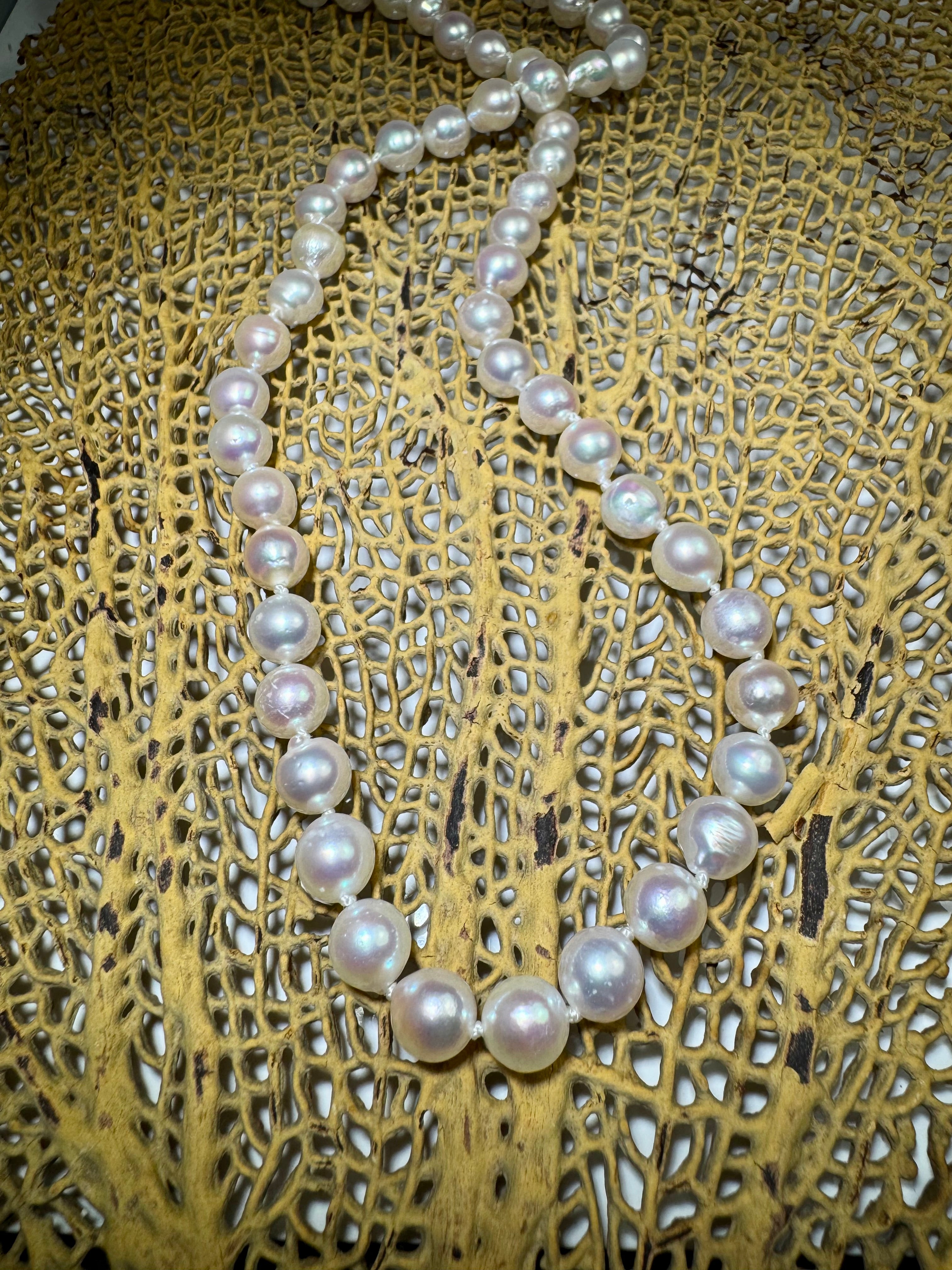 Akoya Pearl 14k Strand