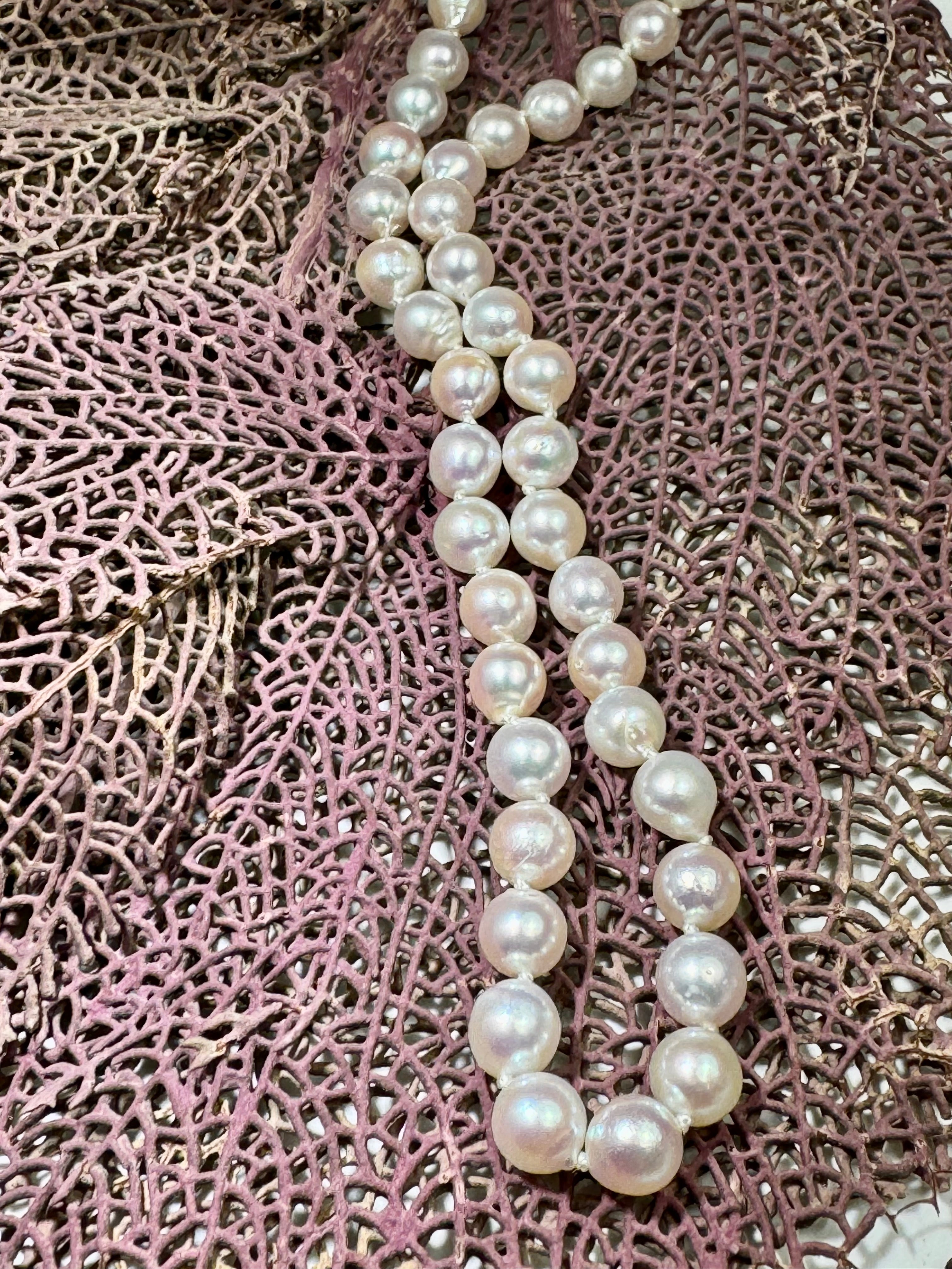 Akoya Pearl 14k Strand